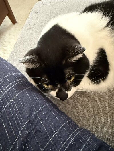足元のモズクちゃんのアップ
