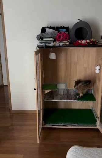 投稿動画のワンシーン
