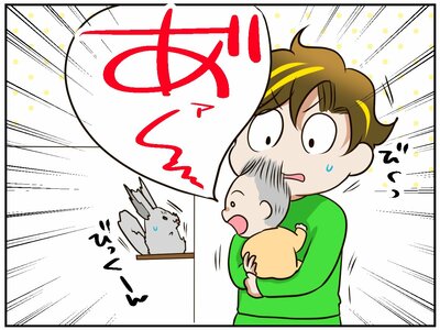 突然の大声にビビるあみだちゃん（そりゃそうよね）