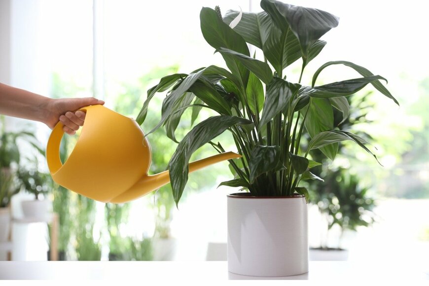 Liudmila Chernetska/istockphoto.com