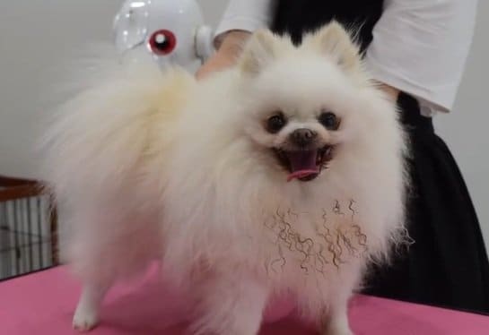 出所：＠etoile_0403