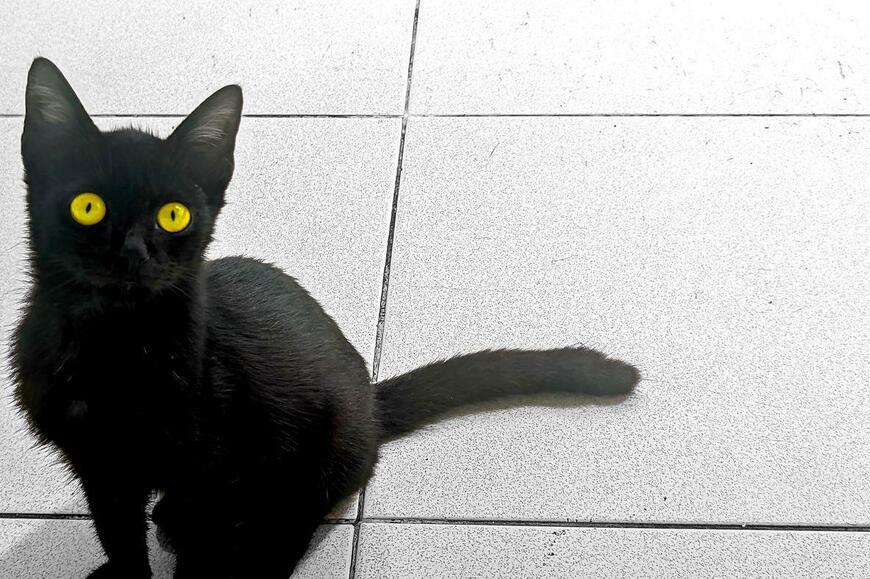 Kitri Aru Saputra/istockphoto.com