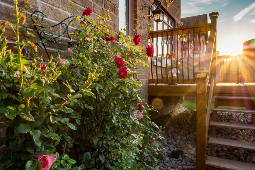 DoraDalton/istockphoto.com