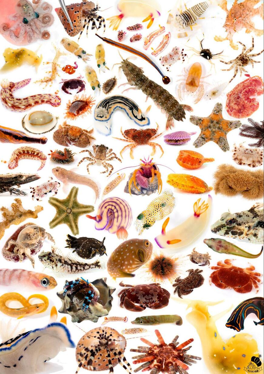 出所：@K_theHermit