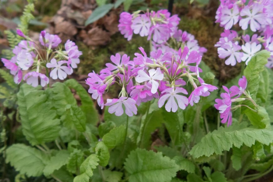 Peter Turner Photography/shutterstock.com