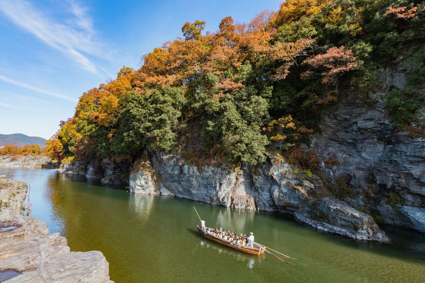 segawa7/shutterstock.com