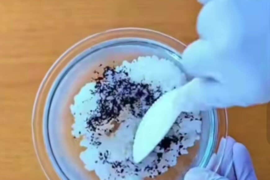 「トトロだ」蓋を開けた瞬間ジブリの世界へ…　ゆかりご飯で作った「キャラ弁」のクオリティに思わずに目を疑う