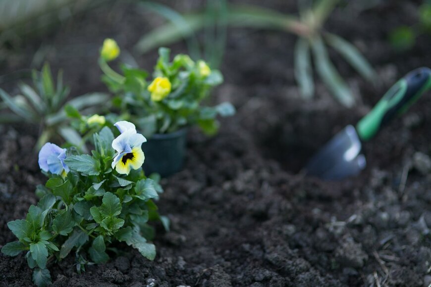 Tiplyashina Evgeniya/Shutterstock.com