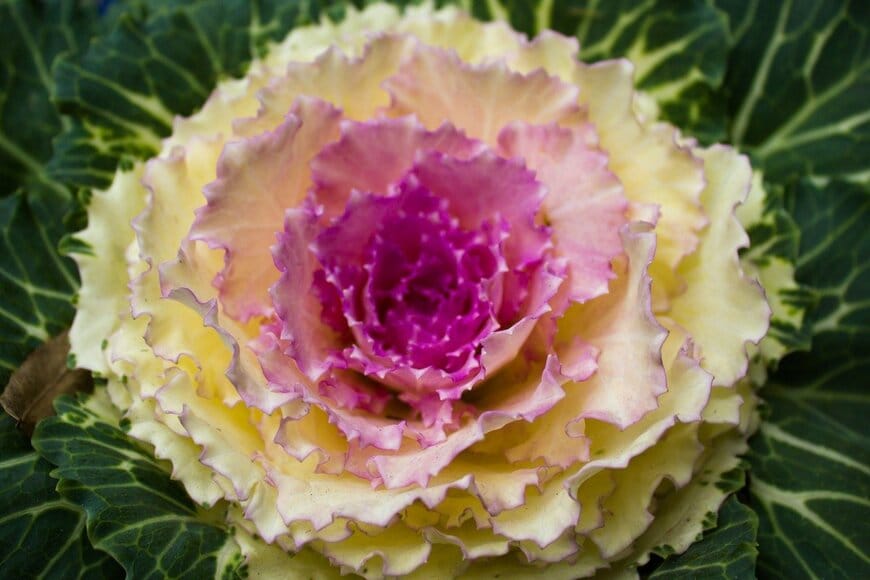 Natalya Selman/istockphoto.com