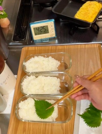 「おかずぎっしりでごはんが見えない!」冷食メインなのに豪華すぎる〈のっけ弁当〉が話題