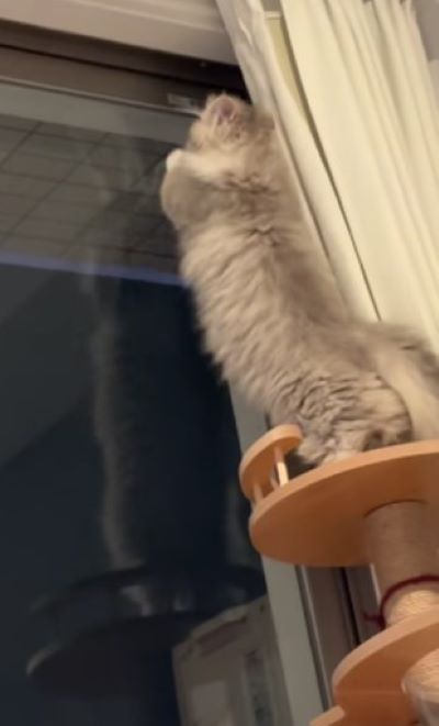 出所：@rurudiary_