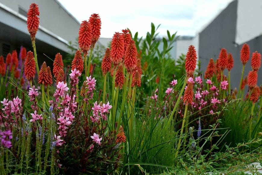 Beekeepx/Shutterstock.com