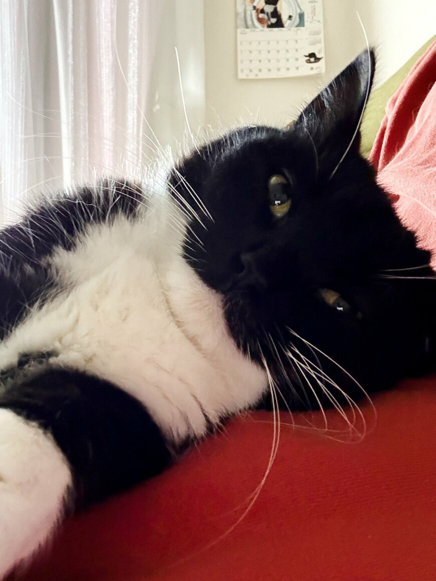 出所：@unicouniuni3