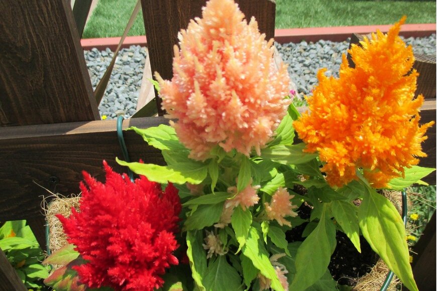 Yasuo Iwami/istockphoto.com