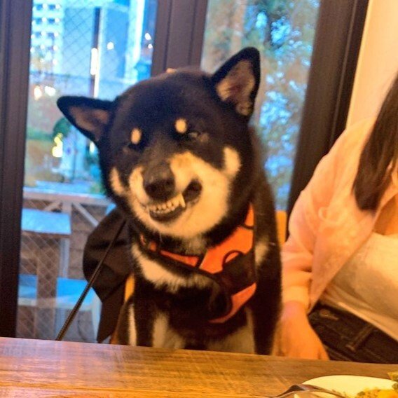 出所：@BLshiba_tensuke