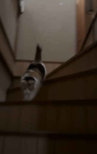 出所：@mike_noritama