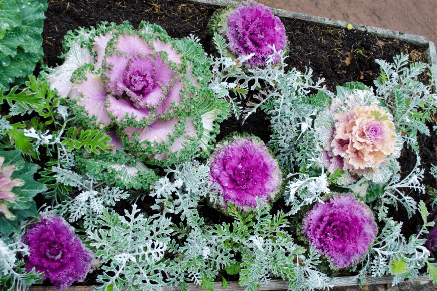 EVGENIY ZHIGALOV/shutterstock.com