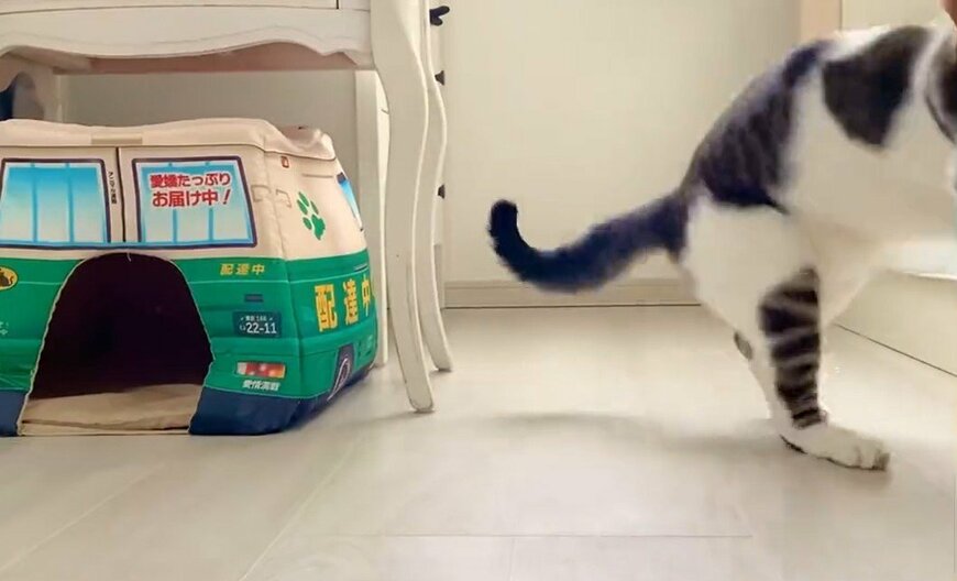 出所：@Saeroyi_cat