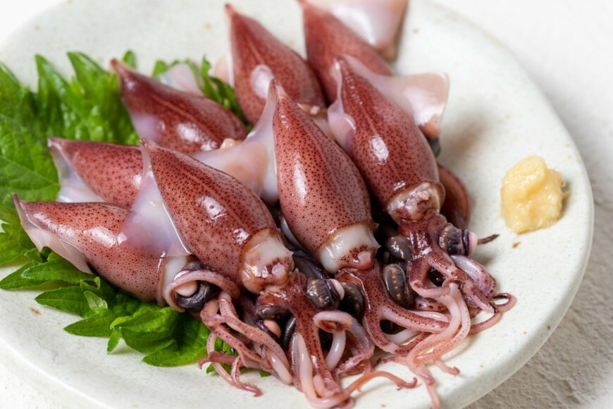 umaimon/shutterstock.com