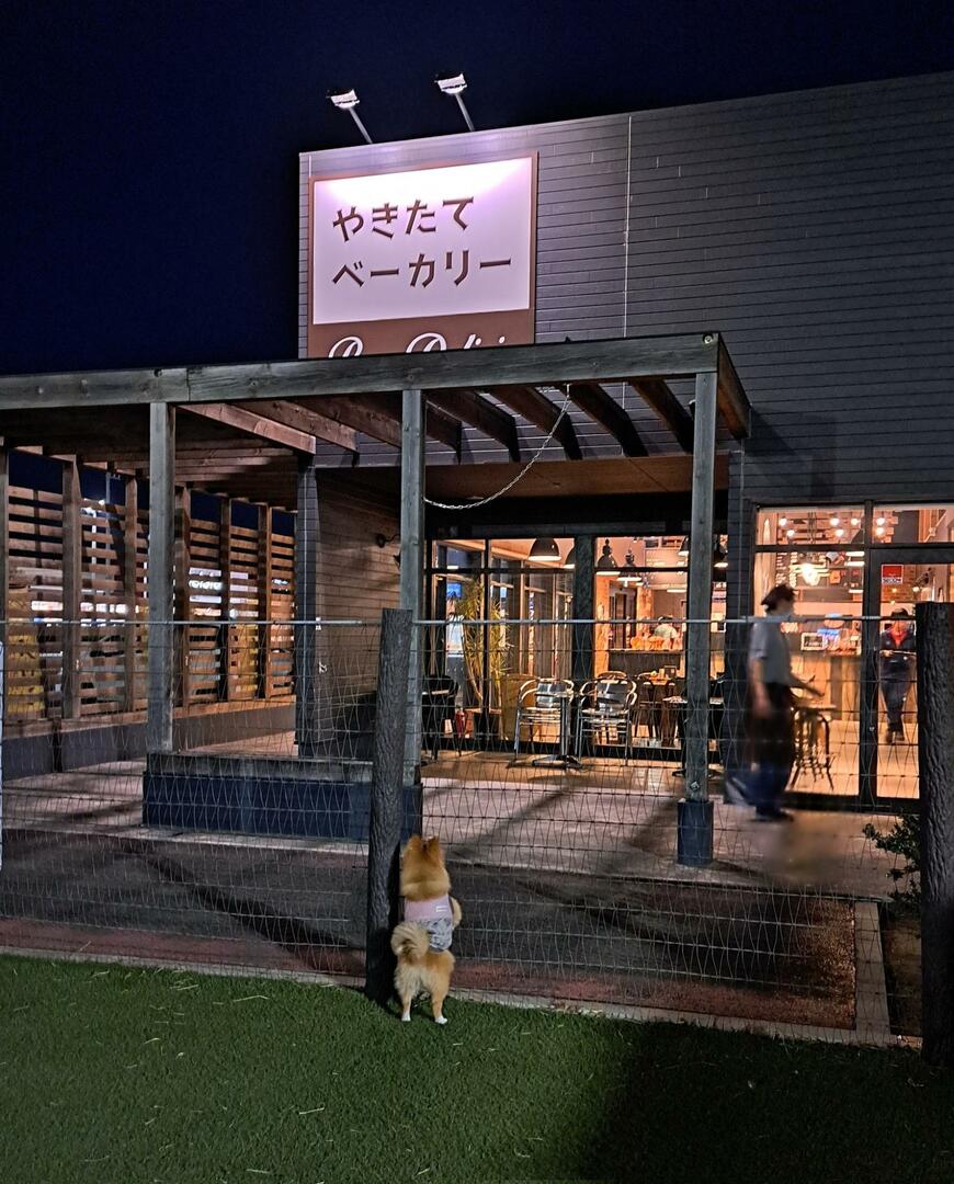 出所：@mokarin0804