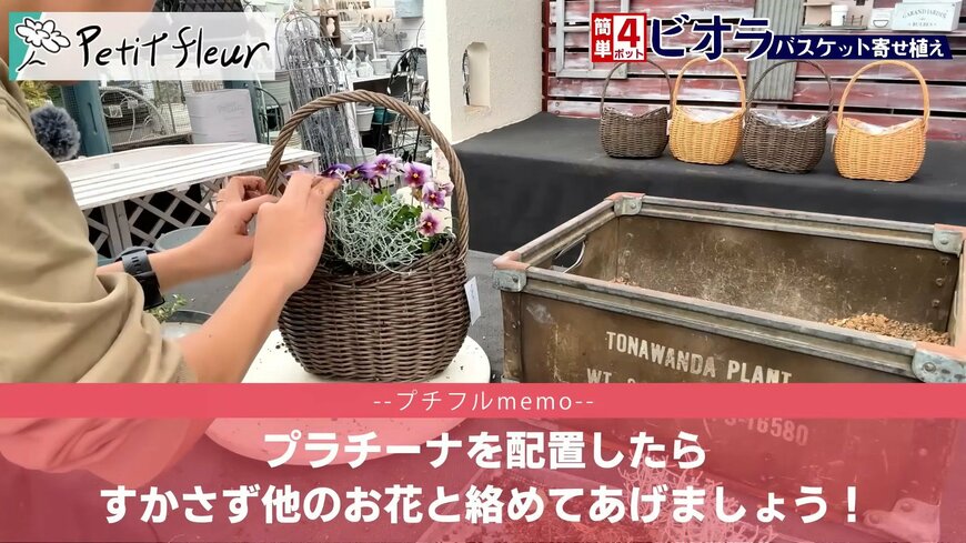 プチフルール 園芸Ch(@petit_fleur)さん投稿動画のキャプチャ