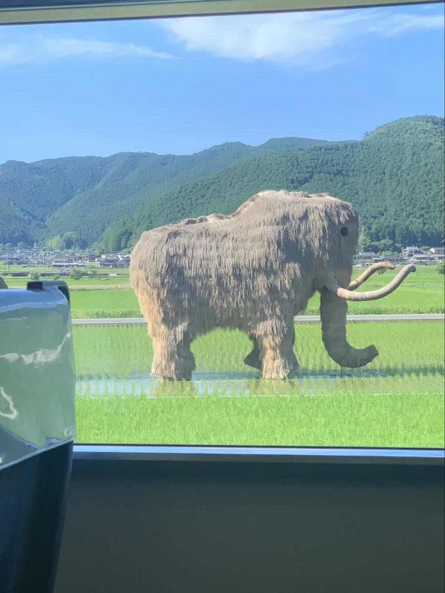 車窓から見えたマンモス