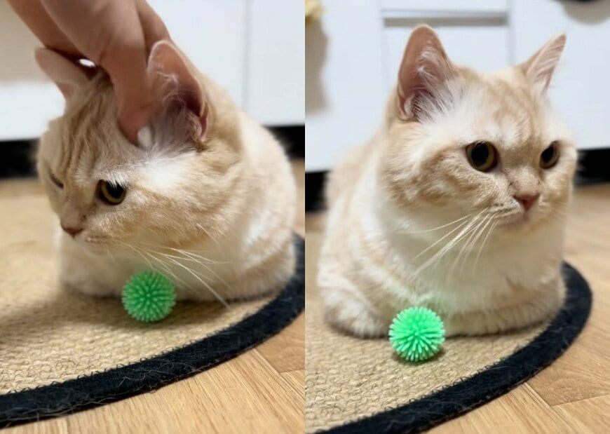 投稿の画像