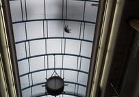 長崎のアーケードでふと上を見上げたら…半透明の屋根越しに見える「不思議なシルエット」に9.4万いいね