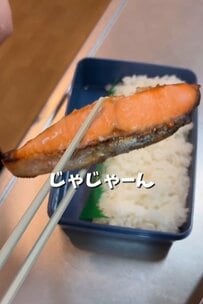 シャケがどーん！とのった【男子高校生弁当】が話題！定番おかずも入ってボリューム満点