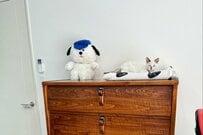 保護子猫「はい、目が合いましたね！」　その直後の行動に思わず笑ってしまう