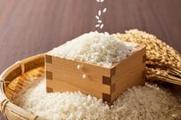 「配当を確定申告すればふるさと納税は増える」は本当？扶養の103万円・130万円の壁にも同時に響く令和6年度改正の課税方式一致と、「あと1万円」で分かれる判定を解説