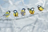 厚生年金と国民年金「2023年度の最新受給額」モデル夫婦は月22万円。みんなの平均受給額はいくら？