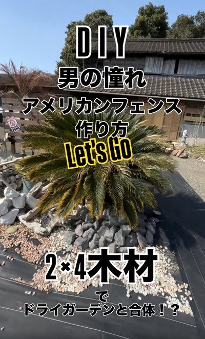 投稿の画像