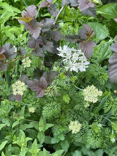 假屋崎省吾のAmeba公式ブログ投稿