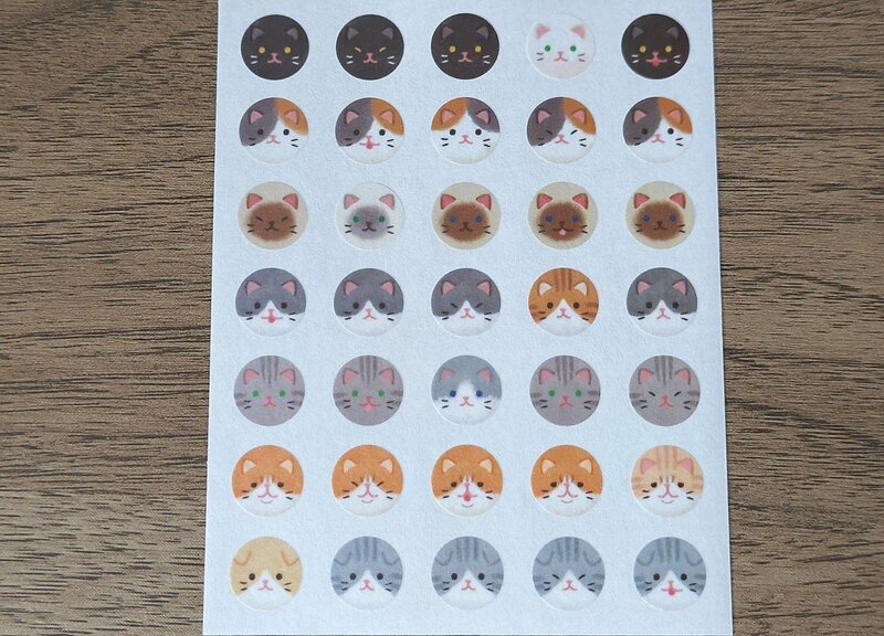 セリア、ポイントステッカー ネコ筆者撮影写真