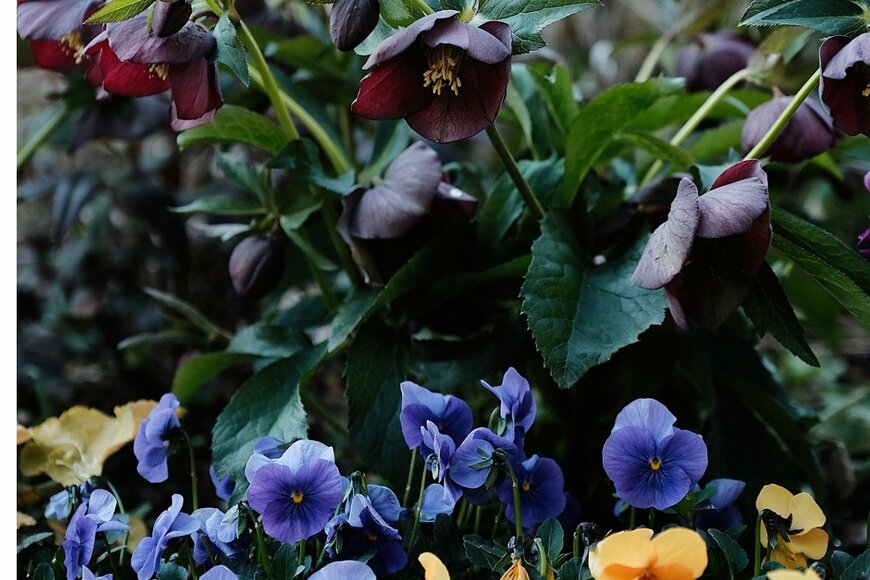 masaki matsuda/istockphoto.com