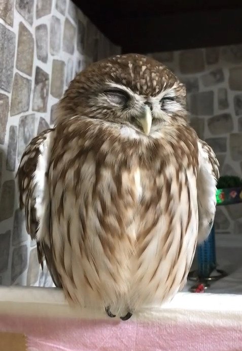 出所：@cr8673.hiro