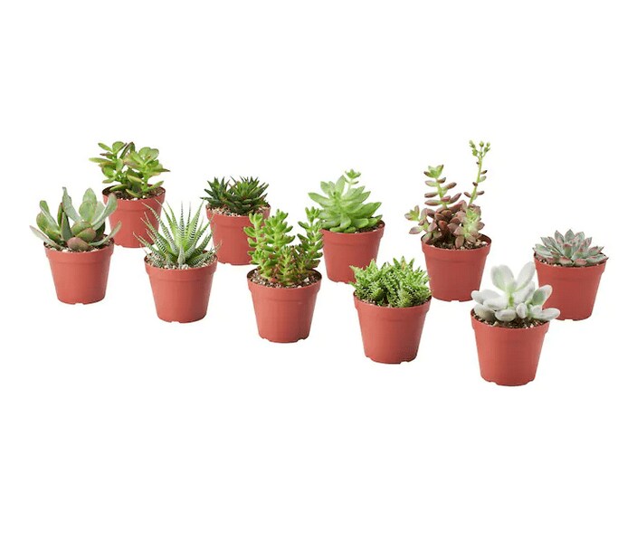 画像出典：イケア公式