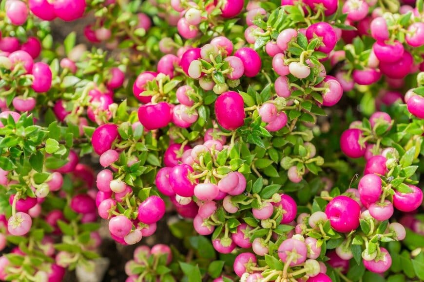 IKvyatkovskaya/istockphoto.com