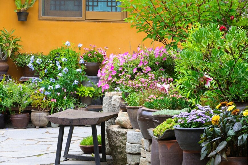 chan jong Lee/istockphoto.com