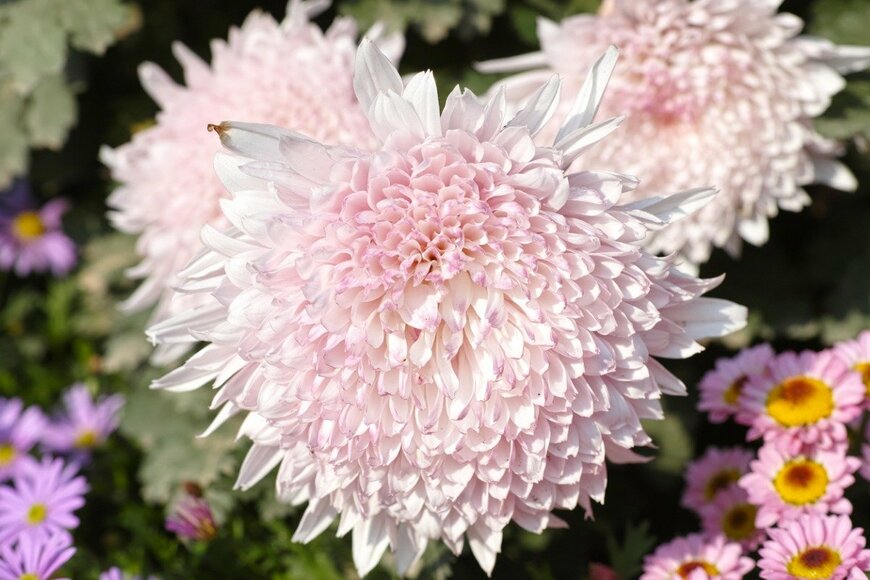 yanjf/istockphoto.com