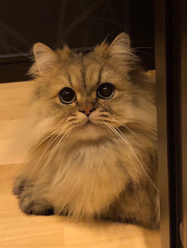 出所：@UphQepCv8J