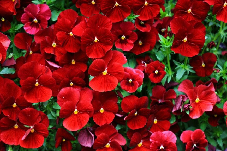 Free art director/istockphoto.com