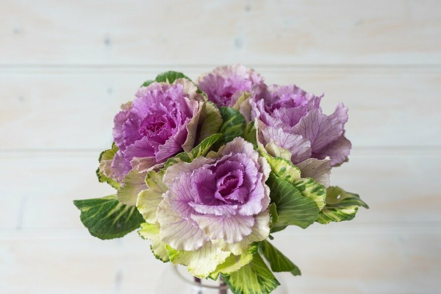 natalie_board/istockphoto.com