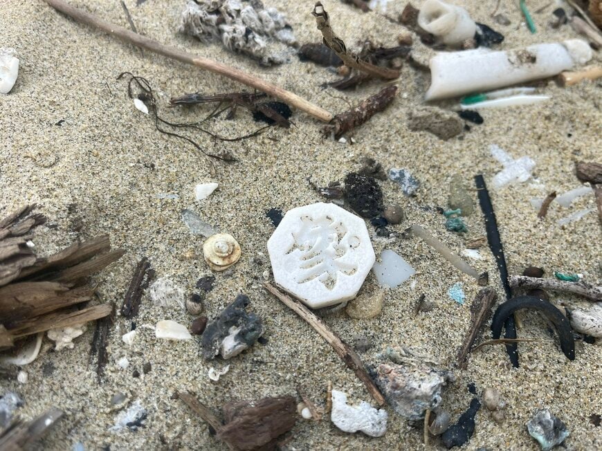 九州・玄界灘の海岸清掃で拾った「謎の駒」　6年後の収集結果に「すごすぎる」「まさに奇跡」と驚き