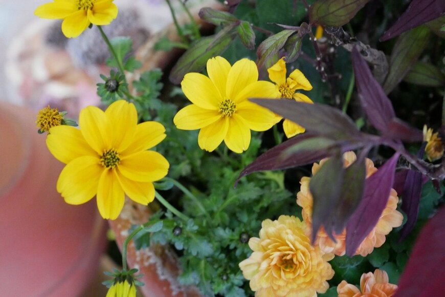 croquette/istockphoto.com