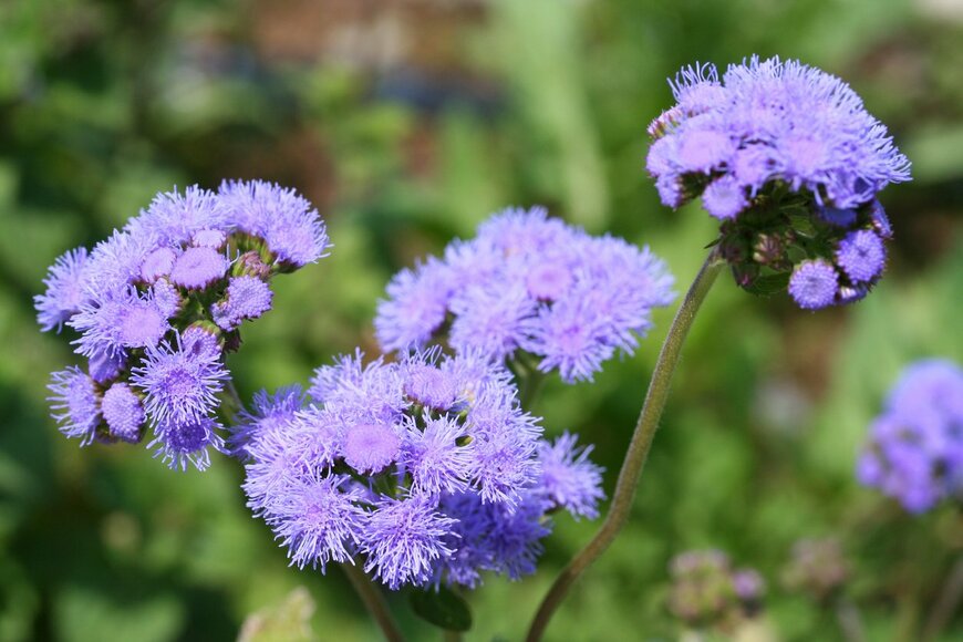 AKIsPalette/istockphoto.com