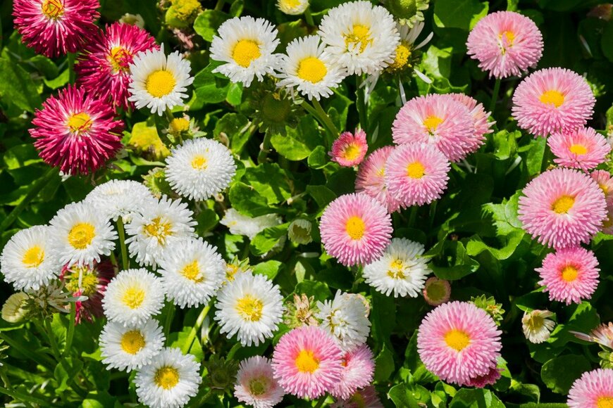 illionaire/istockphoto.com