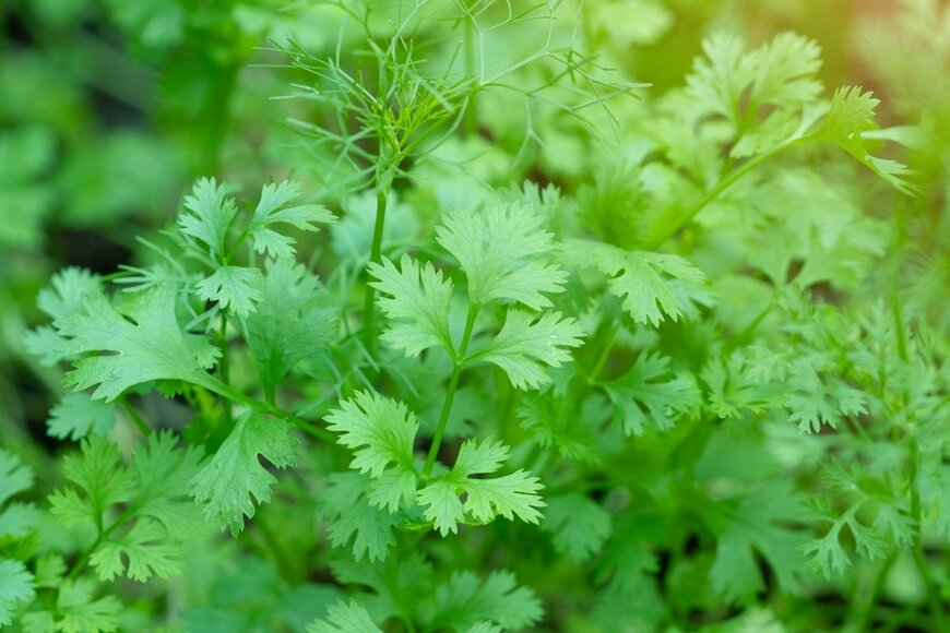 3283197d_273/istockphoto.com