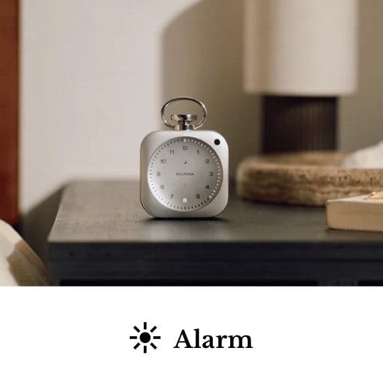 出所：バルミューダ株式会社